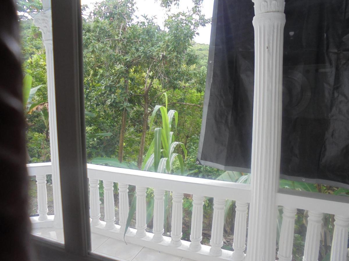 Rainforest Villa Port Antonio Exterior photo